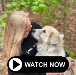 A video play button over an image of Blair Hope and her dog, Bear.