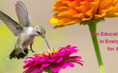 The Magic of Intention in Animal Healing