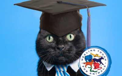 Apply Now: Our Next Scholarship Deadline is August 1st!