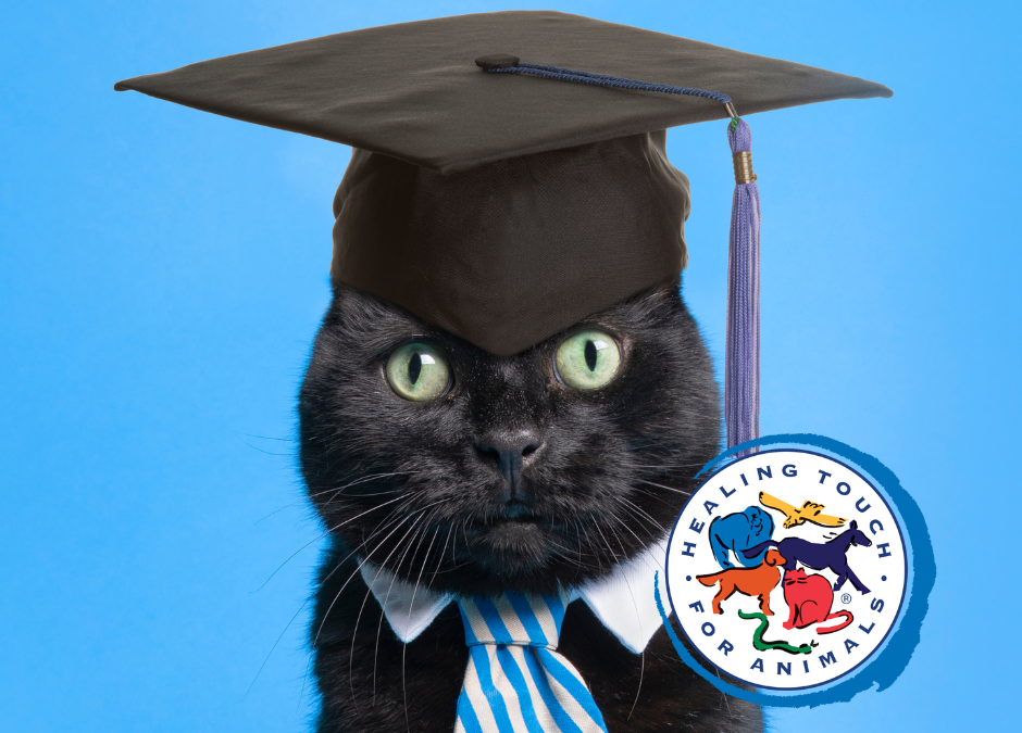Apply Now: Our Next Scholarship Deadline is August 1st!