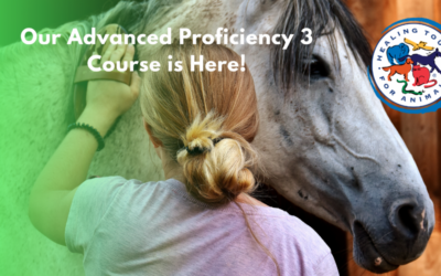 Advanced Proficiency 3 is Now Part of the HTA Curriculum!