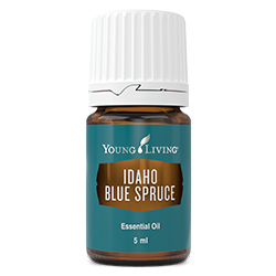 A small brown bottle of Young Living essential oil with a dark teal label and white writing that reads "Idaho Blue Spruce."