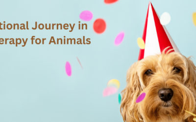 Celebrating 30 Years of Healing Touch for Animals