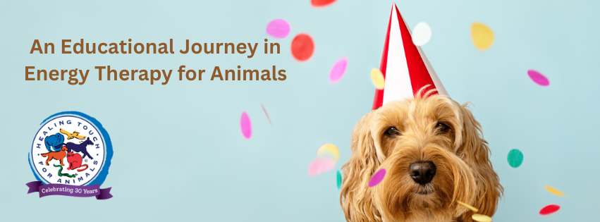 A goldendoodle mix-breed dog wearing a red and white party hat with confetti falling around.