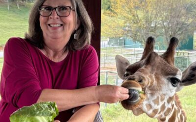 HTA Spotlight: Tina Batty