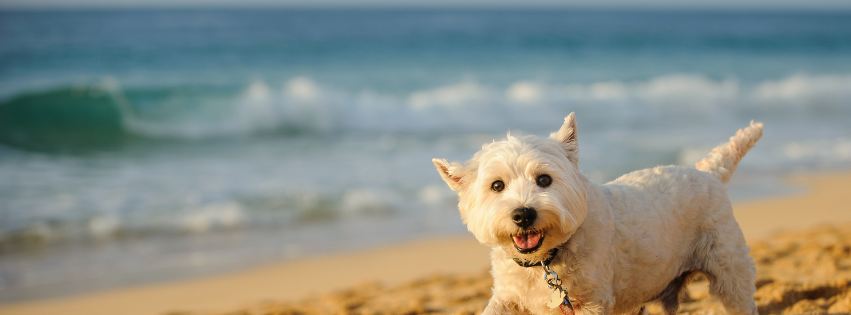 Reflect on the Quiet Gift of Reciprocity This Summer