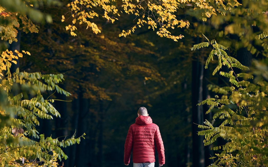 Autumn: An Energetic Invitation for Your Pet & You