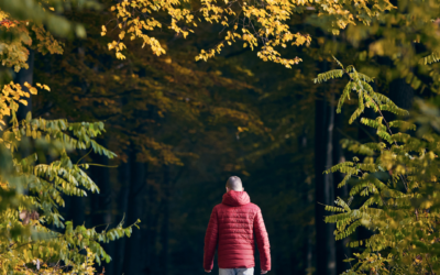 Autumn: An Energetic Invitation for Your Pet & You